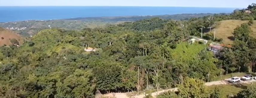 Drone Video
